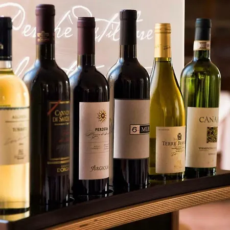 酒店 坦卡埃德酒店