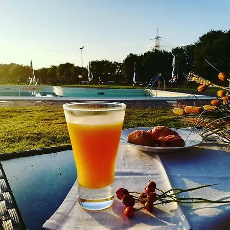 酒店 坦卡埃德酒店 卡波特拉